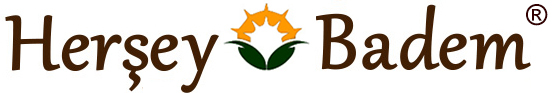 HER ŞEY BADEM ® 